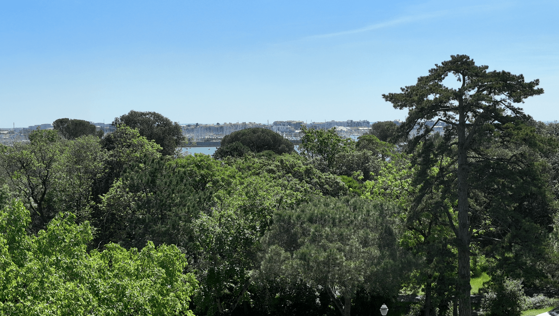 ACACIA